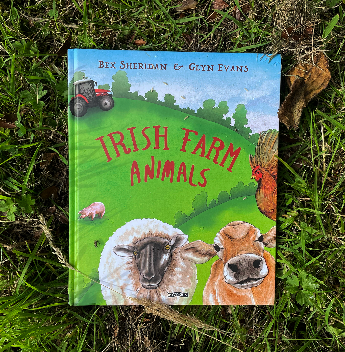 Irish Farm Animals